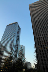 Fototapeta premium 夕暮れの高層ビル群