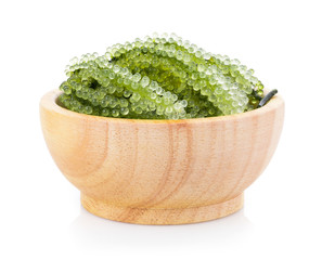 Sea grapes ( green caviar ) seaweed in bowl on white background