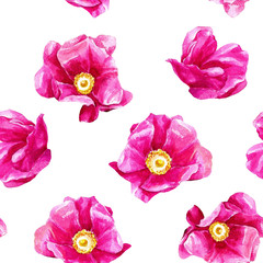 Floral seamless pattern with wild rose painted in watercolor.