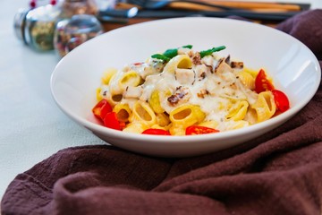 Cooked pasta with a cream sauce and roasted chicken cured with emmental..