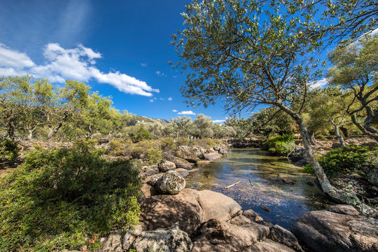 Golgo Baunei - Ogliastra - Sardegna - Italia
