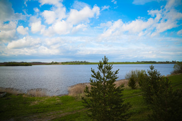 Fototapeta na wymiar shore of the lake in summer in sunny weather