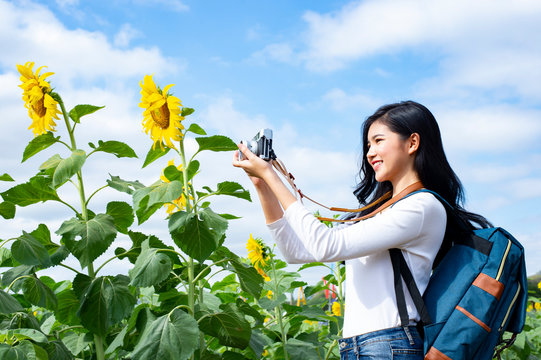 Asian young woman visit sunflower field - Image