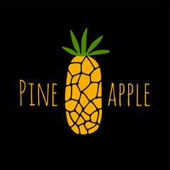 Pineapple, sketch for your design