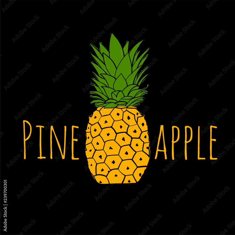 Poster pineapple, sketch for your design