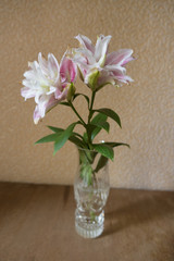 Glass vase with pair of pink and white double oriental lilies