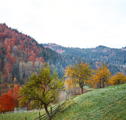 Obraz premium beautiful view of a mountain landscape from the mountain village