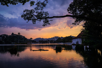 sunset on the lake framed by a tree