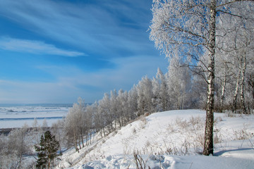 Winter forest on a steep rock under the ultramarine sky.