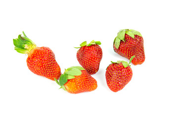 Fresh Strawberry with the white background