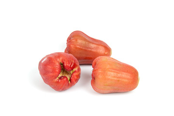 Front focus Rose apples or chomphu isolated on white background.
