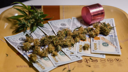 marijuana buds with money