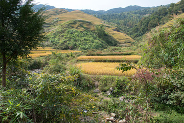  Longsheng ( Longji )  Rice Terraces Fields, Guangxi, China 