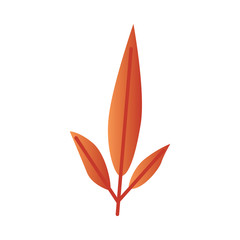 Vector illustration of autumn leaf branch - orange gradient tree foliage in flat style isolated on white background for natural seasonal design. Bright decorative fall element.