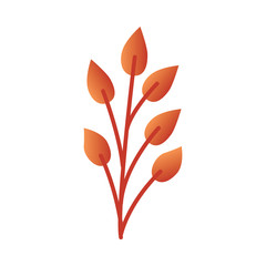 Vector illustration of autumn leaf branch - orange gradient tree or flower foliage in flat style. Bright decorative fall element isolated on white background for natural seasonal design.