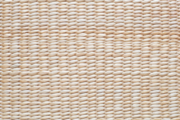 Beige bamboo background