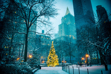 Scenic winter evening view of the glowing lights of a Christmas tree surrounded by the skyscrapers...