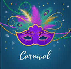 Fototapeta na wymiar Mardi Gras - Fat Tuesday Carnival celebration template