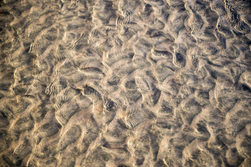 Fototapeta na wymiar Natural textured background of wave patterns left at low tide in silky sand in a full frame abstract close up