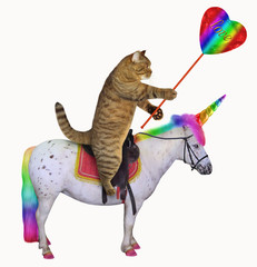 The cat with a big crystal heart is riding the real unicorn. White background.