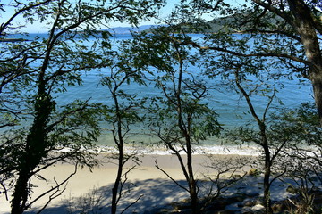 Beach with white sand, trees and clear water with turquoise and green colours. Galicia, Spain, sunny day, blue sky.