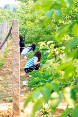 Ms working in the garden