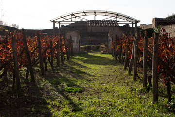 Pompeii is an ancient city buried in 79 AD. from the eruption of Vesuvius