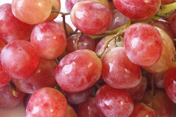 Detalle de racimo de uva morada. 