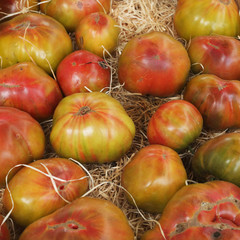 Tomatoes in the market