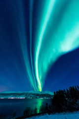 The polar arctic Northern lights aurora borealis sky star in Scandinavia Norway Tromso in the farm winter forest  snow mountains  © bublik_polina