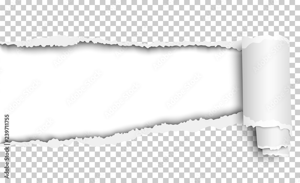 Wall mural vector oblong torn hole in transparent sheet of paper with paper curl. white resulting background. p