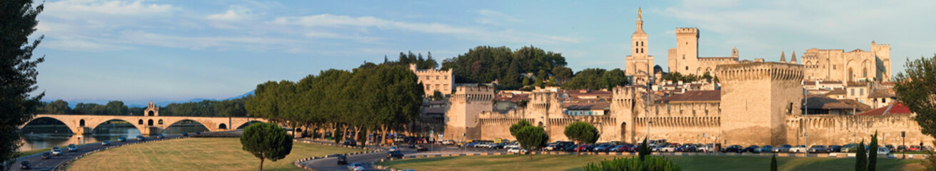 Fototapeta na wymiar Avignon mit Brücke Panorama