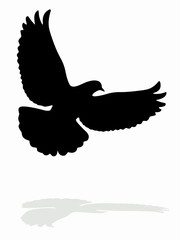 dove silhouette, vector draw