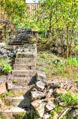 Abandoned retro vintage concrete stairs leading up to green rural garden