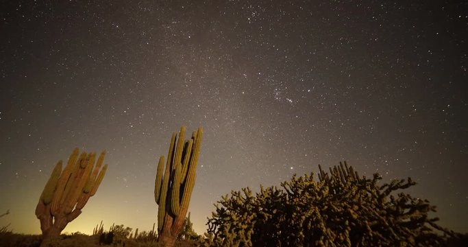 Choya and stars