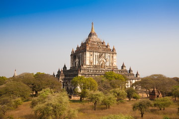 Fototapeta na wymiar Myanmar. Bagan. Landscape pagodas