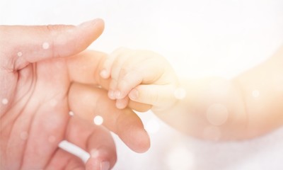 New born baby hand holding kuman hand on white background