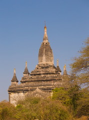 Fototapeta premium Myanmar. Bagan. Landscape pagodas