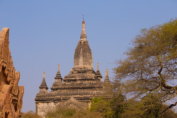 Naklejka premium Myanmar. Bagan. Landscape pagodas
