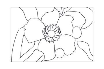  sketch illustration - flower