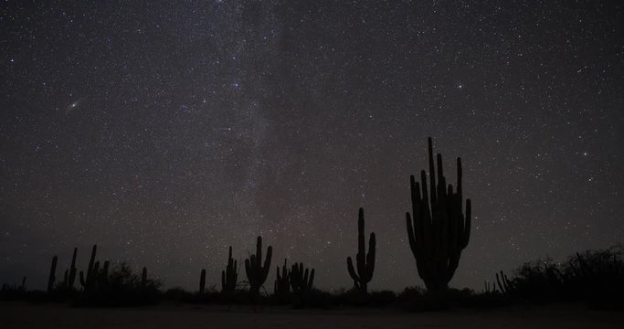Circumpolar stars