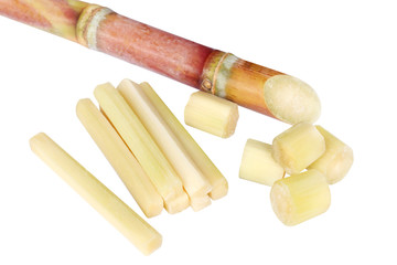 sugar cane, sugar cane isolated on white background and copy space, cane, sugarcane cut piece fresh, sugar cane for plantation, sugarcane fresh