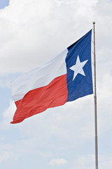 Texas flag