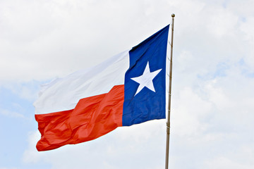 Texas flag