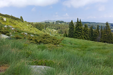 Landscape From Hiking trail for Cherni Vrah peak at Vitosha Mountain, Sofia City Region, Bulgaria