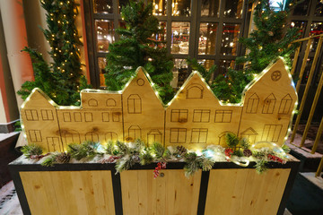 The branch of New Year tree at city street