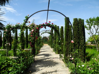 Generalife Garden, Andalusia, Spain. Granada.