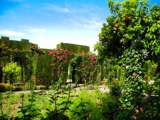 Fototapeta na wymiar Generalife Garden, Andalusia, Spain. Granada.