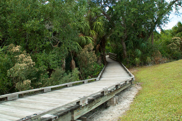 Fototapeta na wymiar View of empty boardwalk leading into sub tropical forest in Bonita Springs Florida