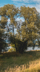 Fototapeta na wymiar Smartphone HD wallpaper of beautiful view at Steinkirchen - Danube - Bavaria - Germany